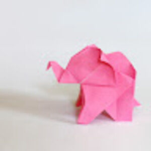 Meet your Posher, Nicolina